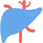 liver-function-panels-&-enzyme-tests